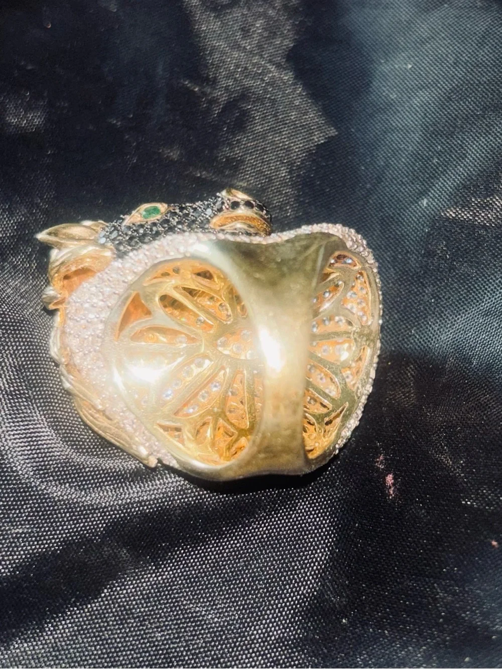 Equestrian horse ring